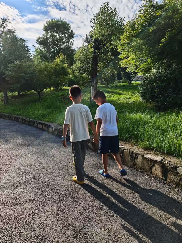 池杉湖国家湿地公园旅行图片 2