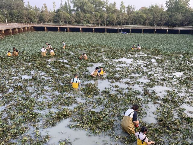 南京森林大世界旅行图片 2