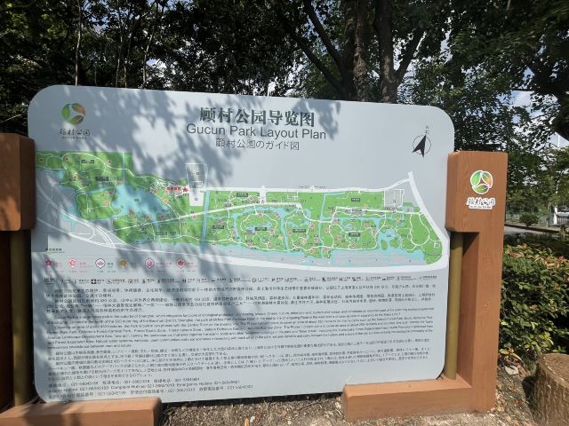 上海顾村公园旅行图片 2
