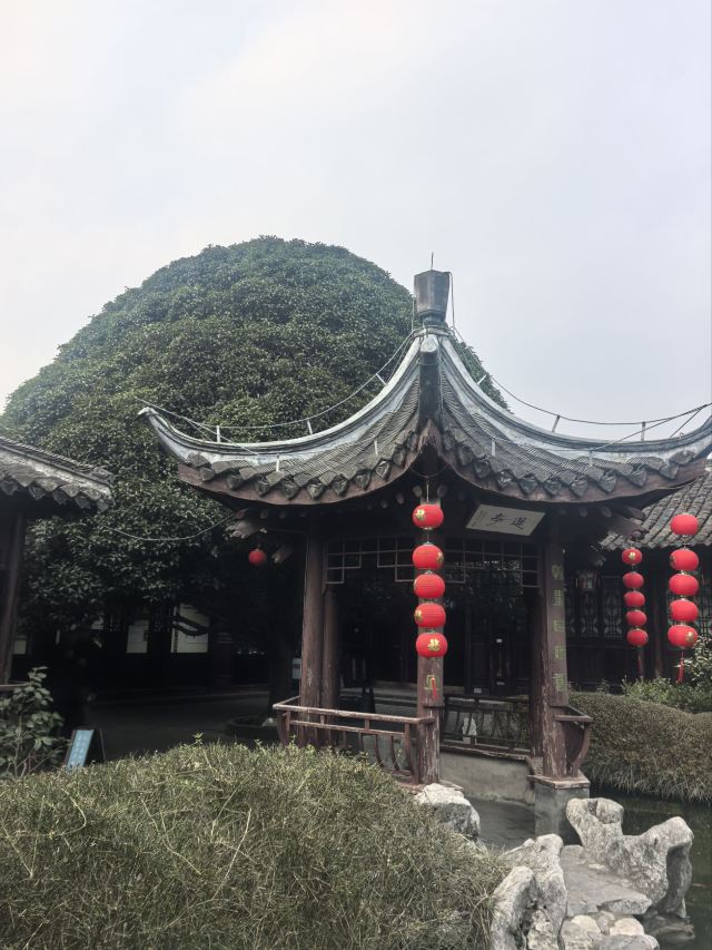 溱潼古镇旅游区旅行图片 3