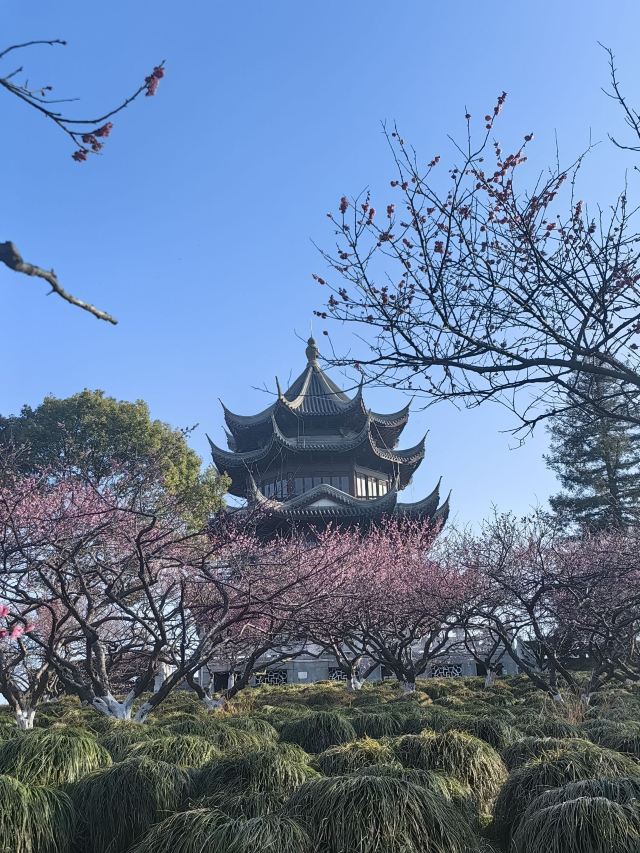 上海海湾国家森林公园旅行图片 2