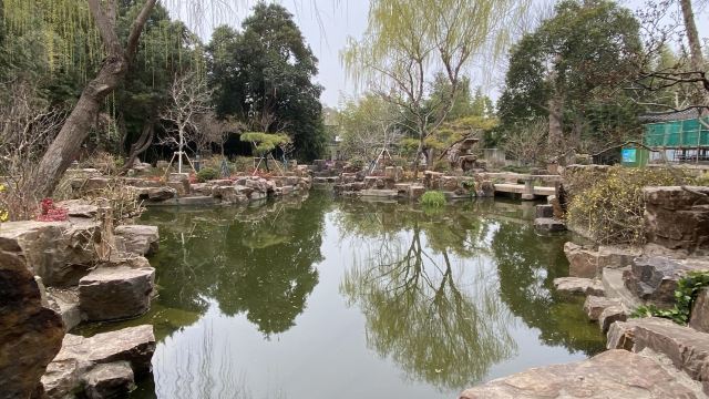 个园旅行图片 4