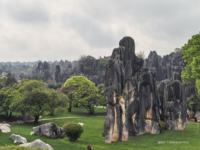 石林风景区旅行图片 9