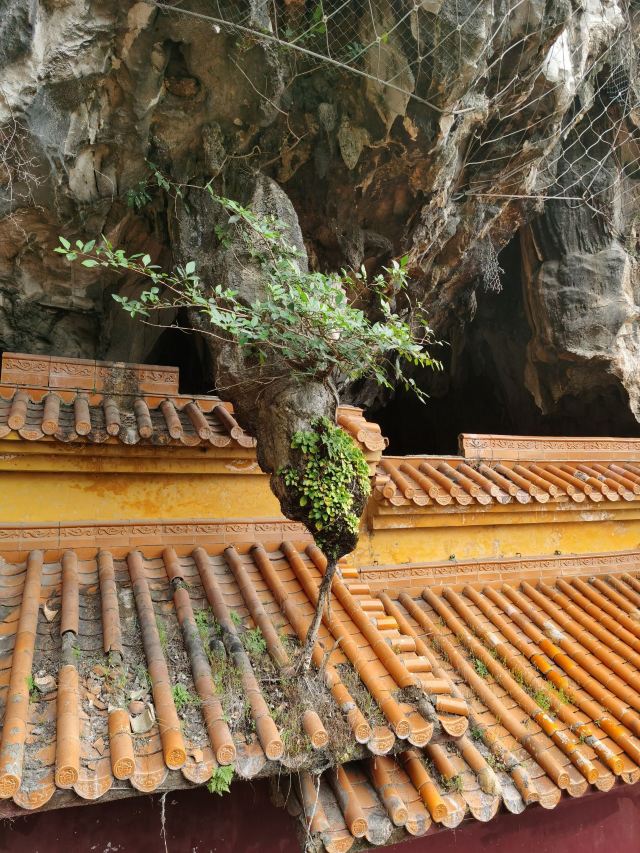 南溪山公园旅行图片 6