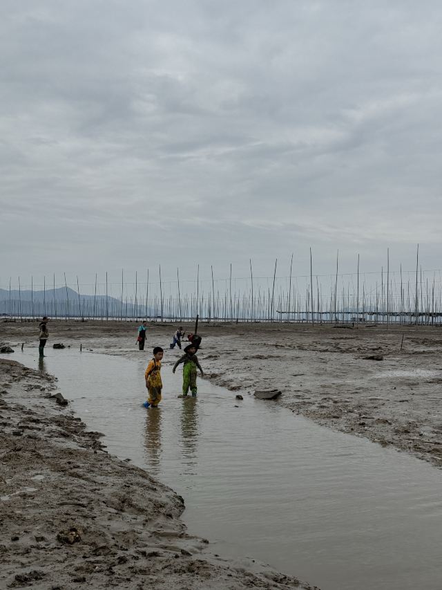 霞浦牛屿滩涂赶海体验中心旅行图片 2