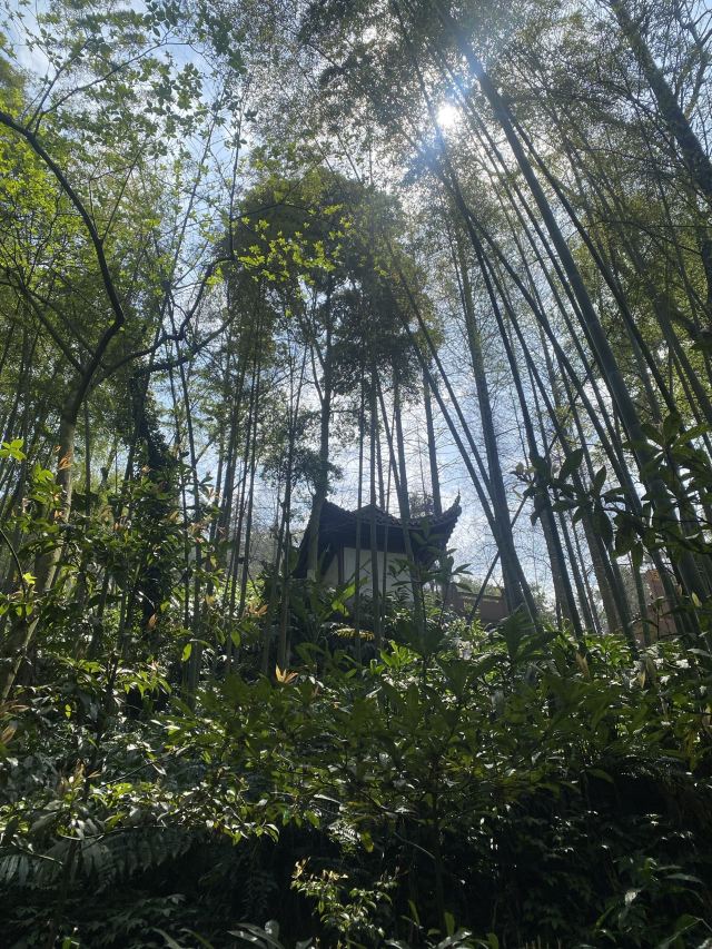 中岩寺景区旅行图片 9