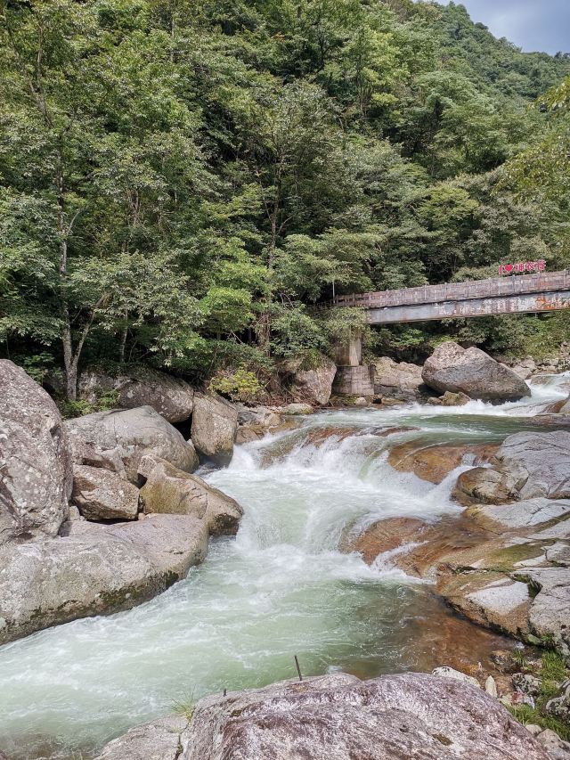 炎陵县神农谷国家森林公园旅行图片 6