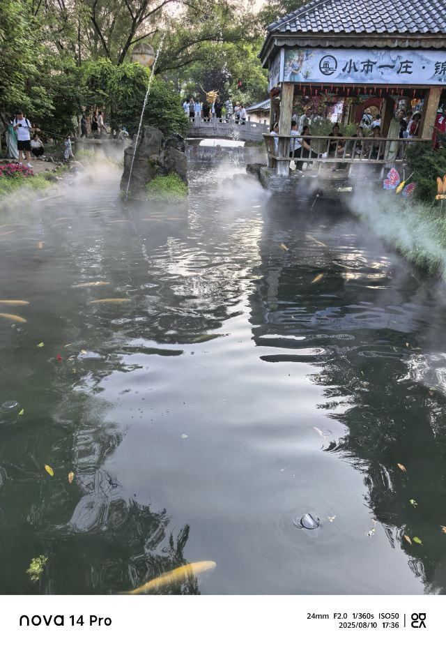 小市一庄旅行图片 4