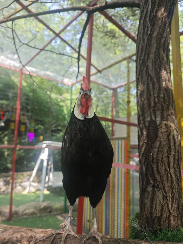 小市一庄旅行图片 3