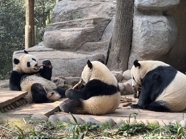 碧峰峡风景区旅行图片 1