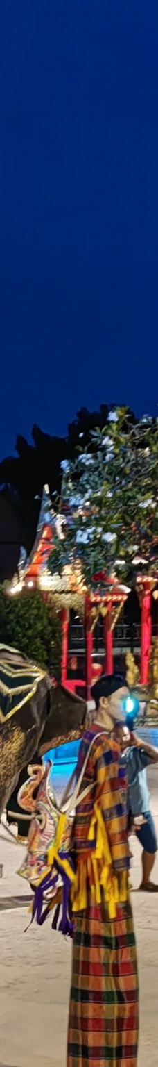 普吉暹罗梦幻剧场-普吉岛-最好的昵称吗