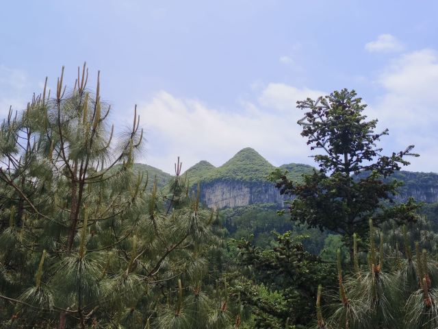 尼珠河大峡谷生态文化旅游区旅行图片 3