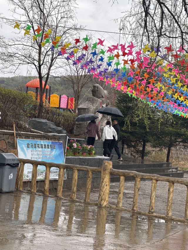 官马溶洞旅行图片 2