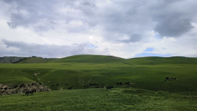 山丹皇家马场景区(暂停开放)旅行图片 1
