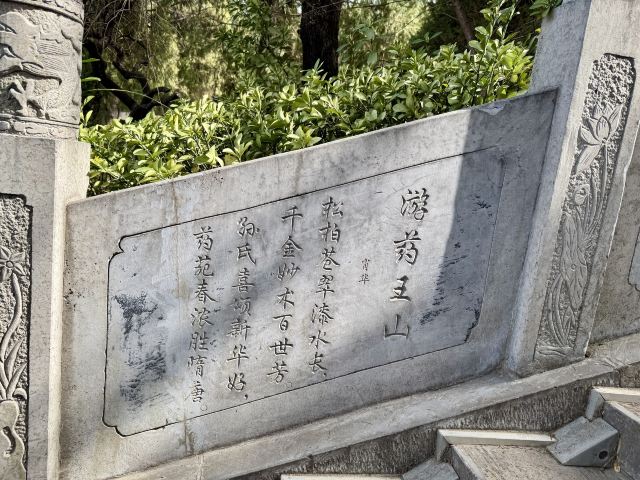 药王山旅行图片 1