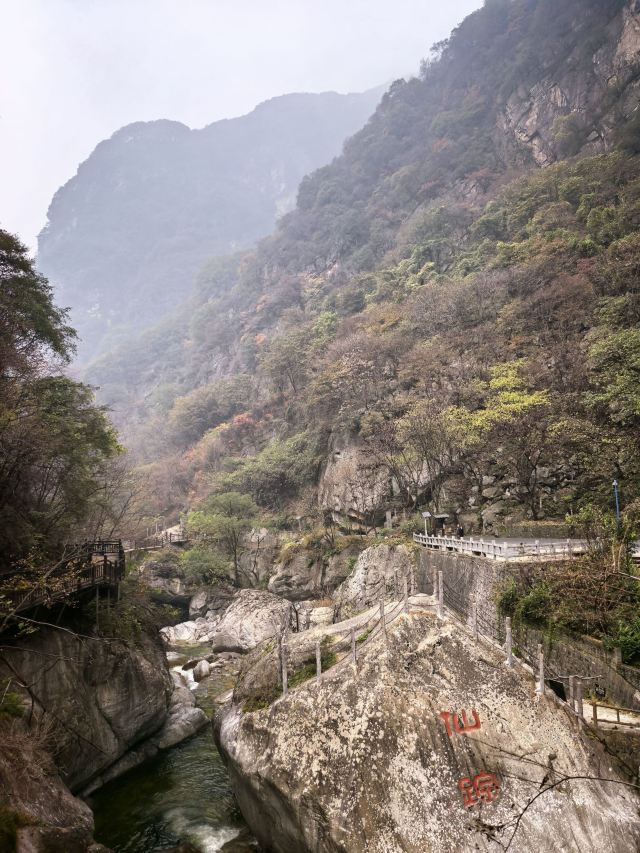 陕西省红河谷森林公园旅行图片 4