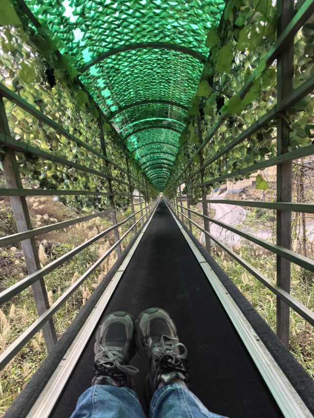 罗城棉花天坑旅游度假区-小卖部旅行图片 4