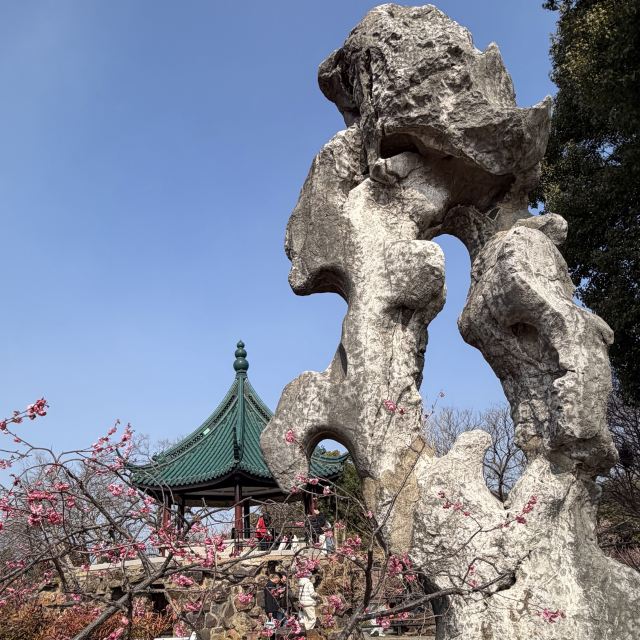荣氏梅园旅行图片 4