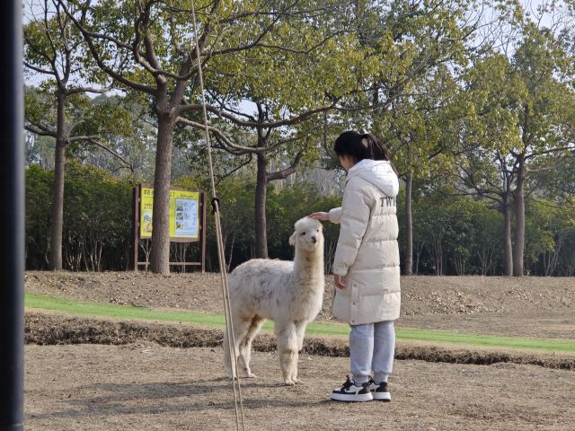 自然卷卷牧野旅行图片 4
