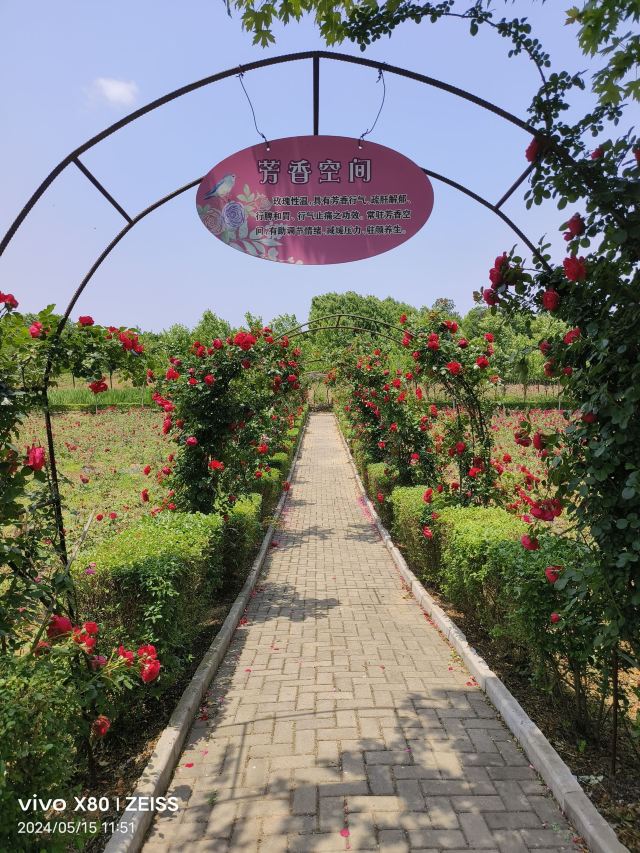 南京玫瑰园旅行图片 4