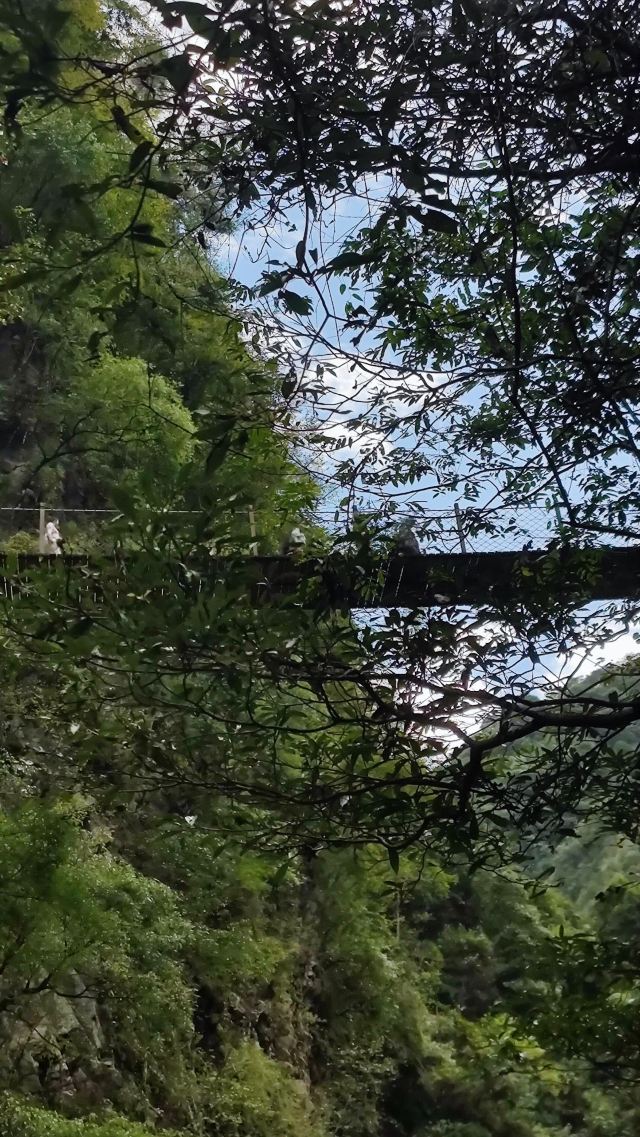恩施巴人河生态旅游区旅行图片 4