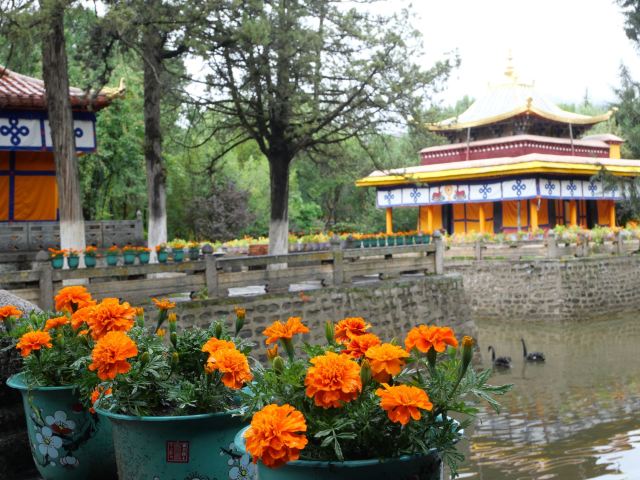 罗布林卡旅行图片 7