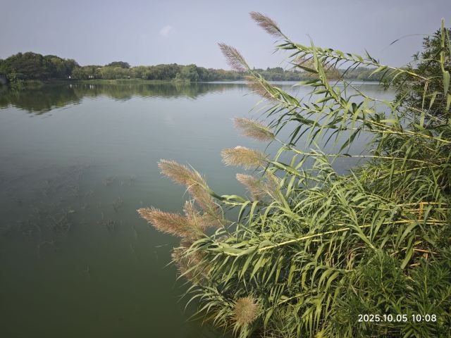 大纵湖旅游度假区旅行图片 1