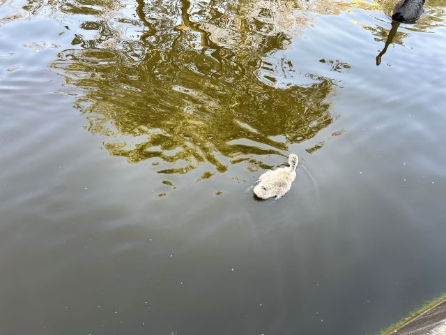 昆明动物园旅行图片 5