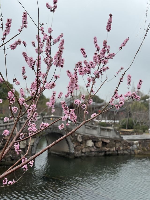 蠡园旅行图片 2