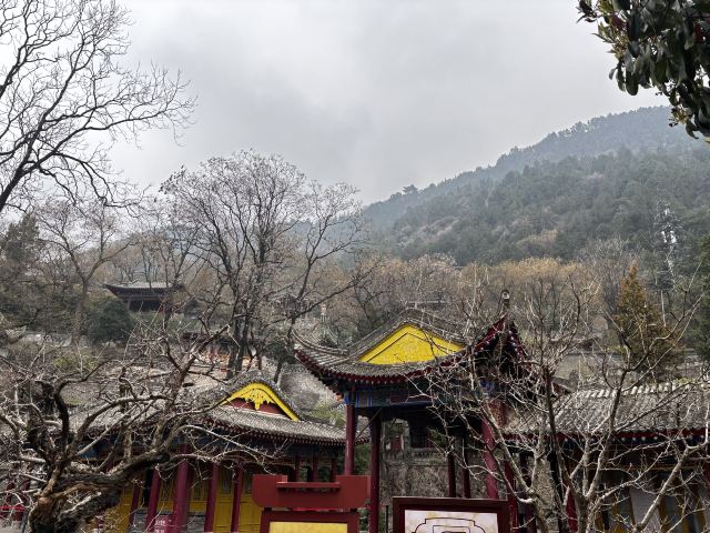 华清宫旅行图片 1
