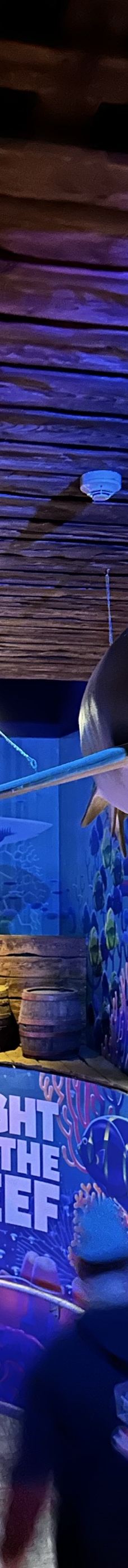 墨尔本水族馆-墨尔本-25小时Staceོy࿐