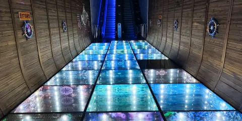 保定科技海洋中心