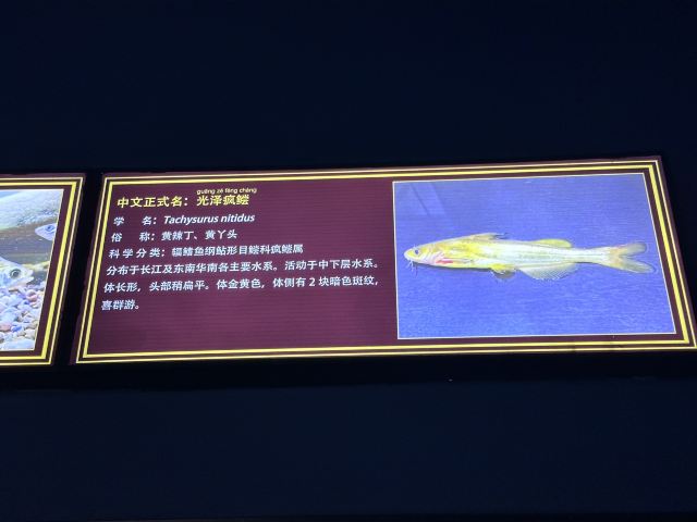 中国·江豚湾旅行图片 1