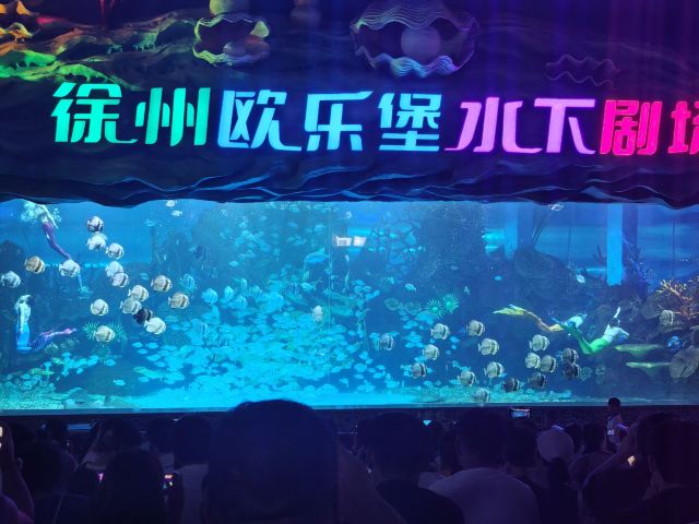 徐州欧乐堡海洋极地世界旅行图片 1