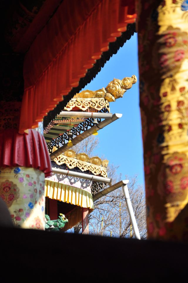 塔尔寺旅行图片 2