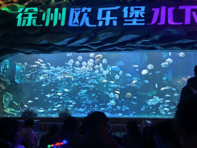 徐州欧乐堡海洋极地世界旅行图片 4