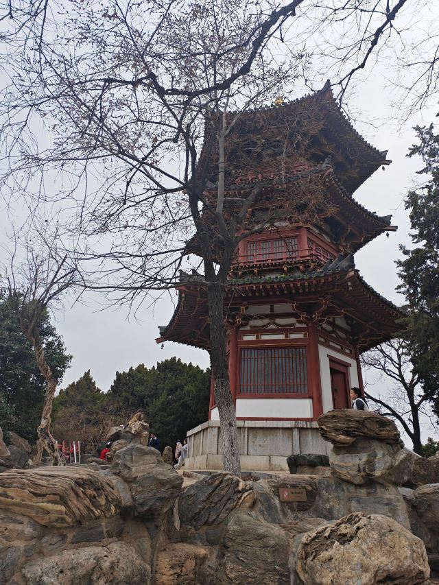 大明宫国家遗址公园旅行图片 1