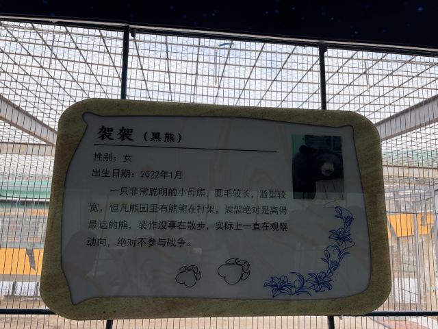 东北虎林园旅行图片 4
