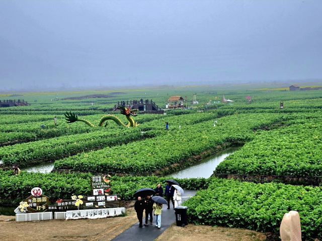 千垛景区旅行图片 1
