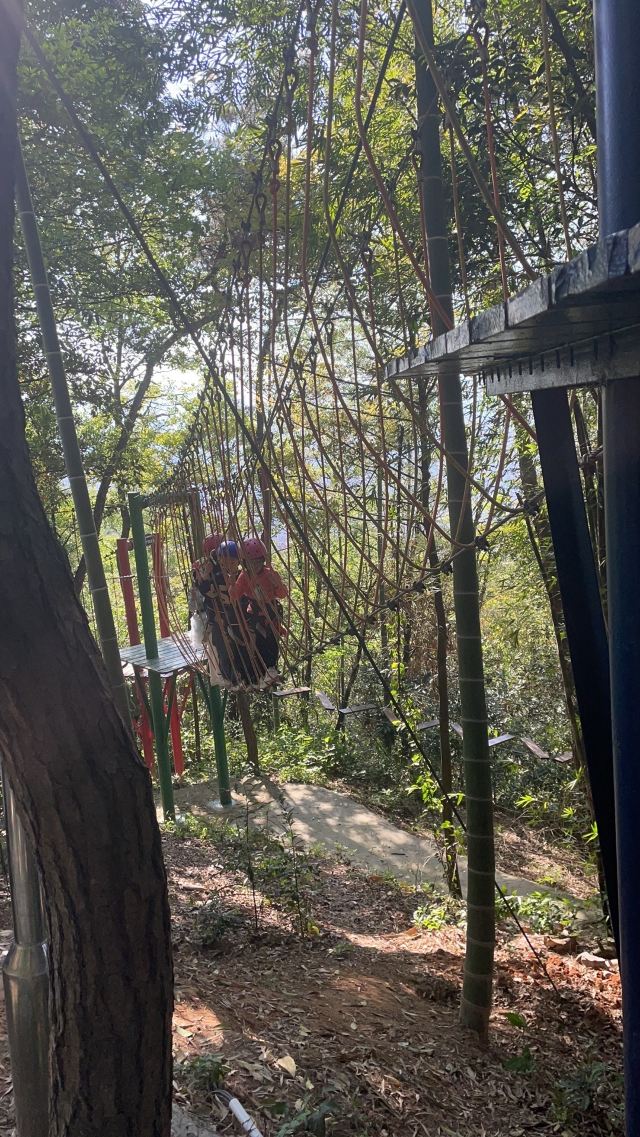 云顶草上世界旅行图片 1