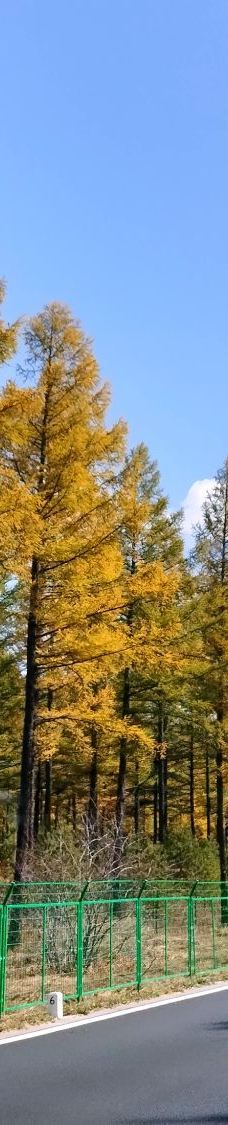 乌兰布统草原-克什克腾旗-768544