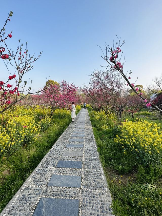 上海南汇桃花村旅行图片 6