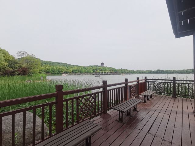 长兴太湖图影湿地文化园-观景塔旅行图片 2