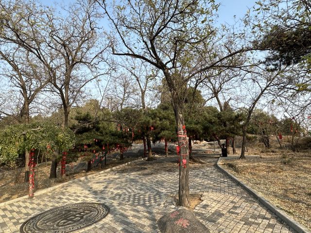 孟姜女庙旅行图片 4
