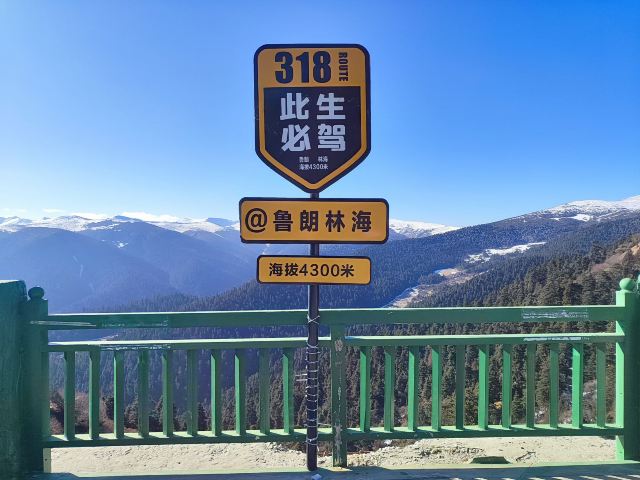 鲁朗林海风景区旅行图片 8