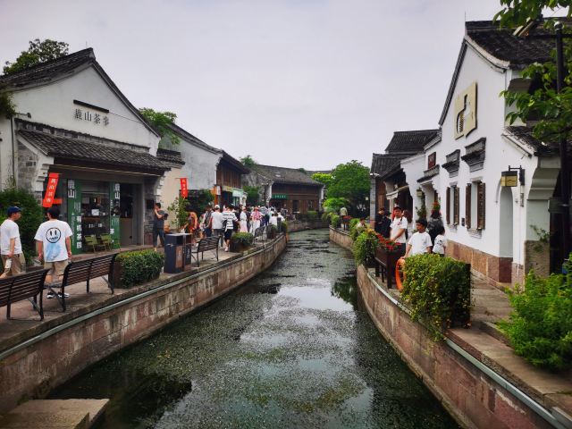 大纵湖旅游度假区旅行图片 1