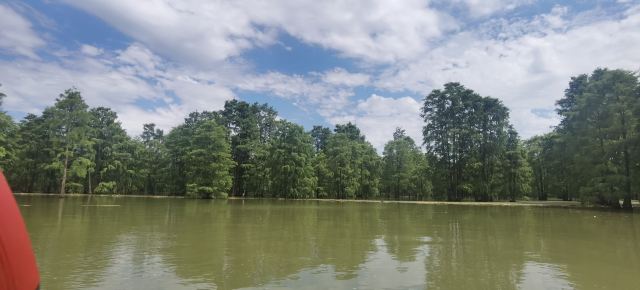 池杉湖国家湿地公园旅行图片 5