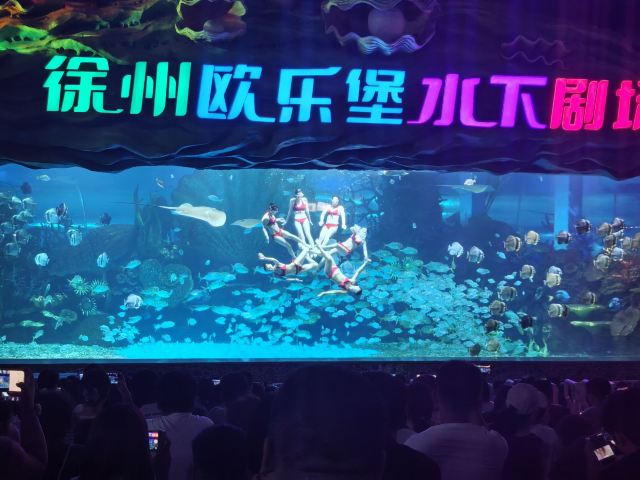 徐州欧乐堡海洋极地世界旅行图片 3