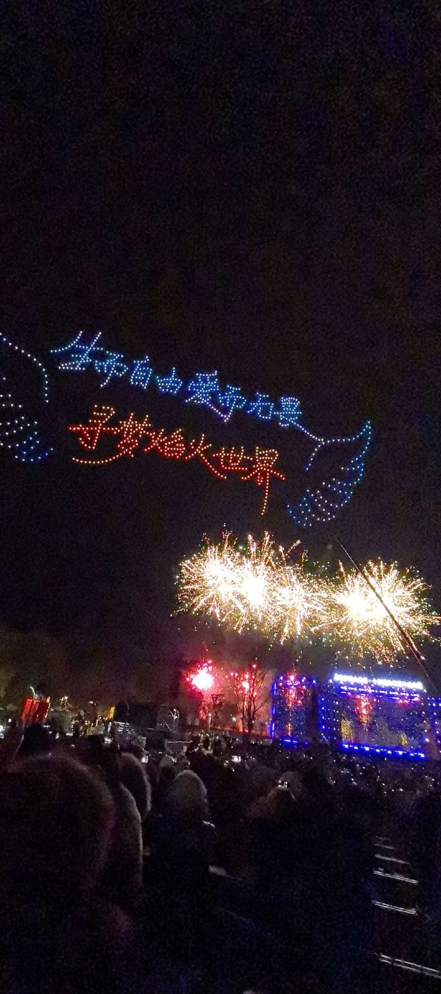 江苏园博园旅行图片 7