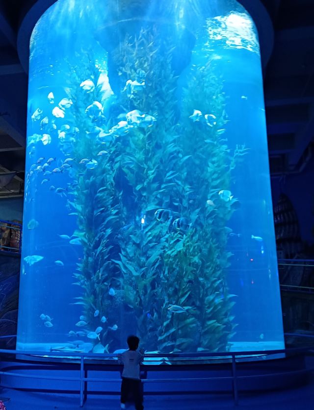 福州欧乐堡海洋世界旅行图片 3